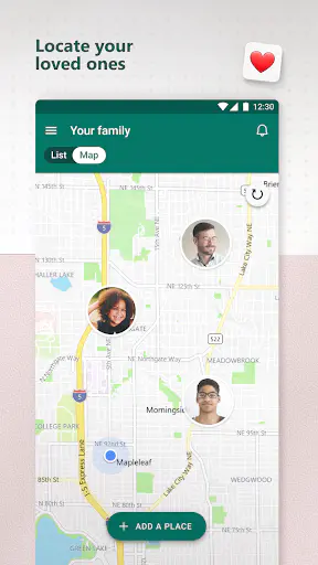 Screenshot 0